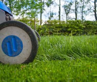 clickerhappy-lawnmower-2786525_1920
